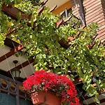 Hotel Boulevard Sea Residenz 250 Meter Zum Sandstrand 5*