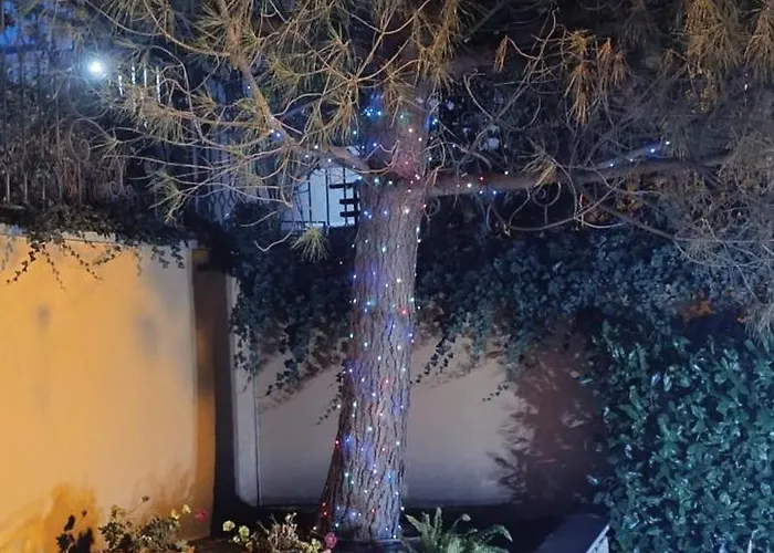 Boulevard Sea Residenz 250 Meter Zum Sandstrand Sunny Beach